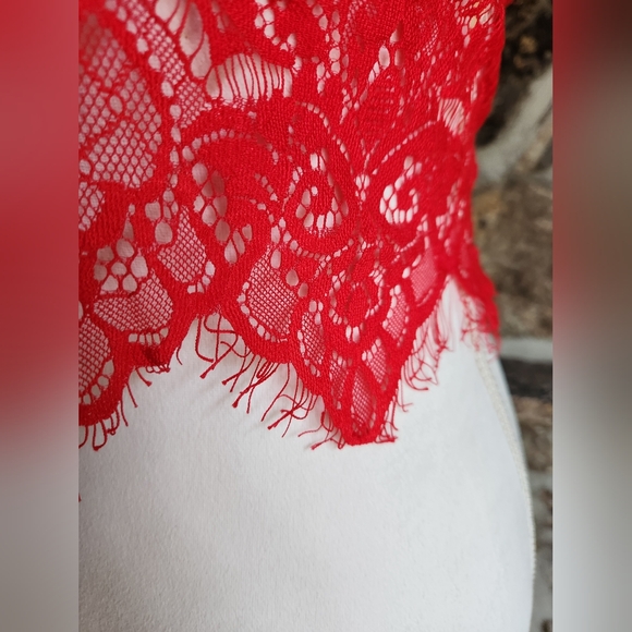 Wink Gal Womens Sheer Mesh Sexy Bralette Wireless Lace Red Sz XL - Picture 6 of 14